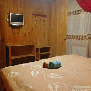 photo_2025-05-09_16-41-49